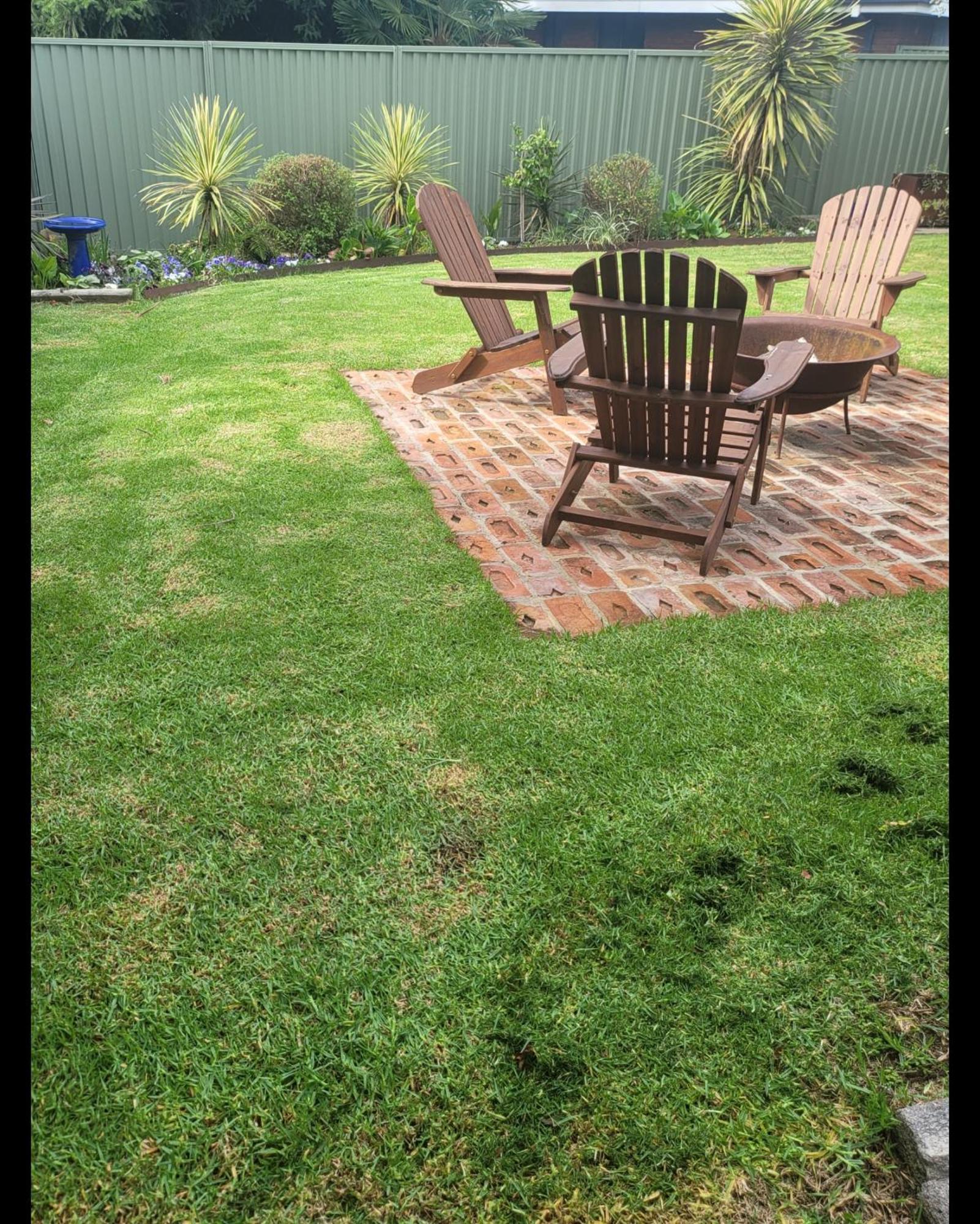 Blue Wren Bnb Bathurst Dış mekan fotoğraf